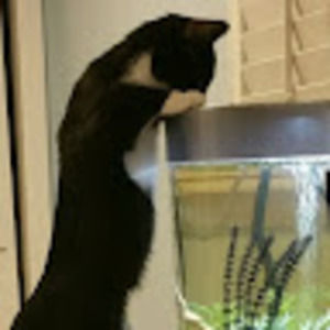 Meet your Posher, Alana